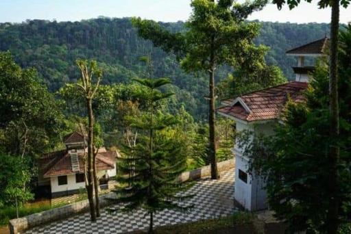 Munnar Magic Mist - Housity
