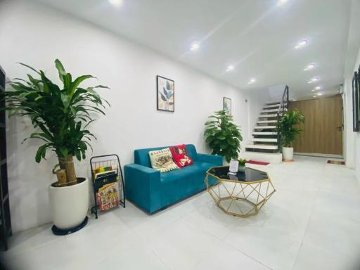 Hanoi Sunrise boutique Homestay Long Biên - Housity