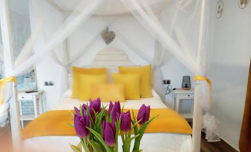 Escapada para parejas en habitación con Jacuzzi,vistas al Castillo de Trevejo y opción de cena en su restaurante - Housity