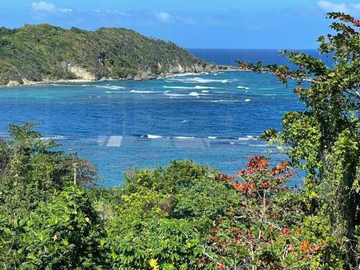 Robin Bay Hidden Gem - Housity