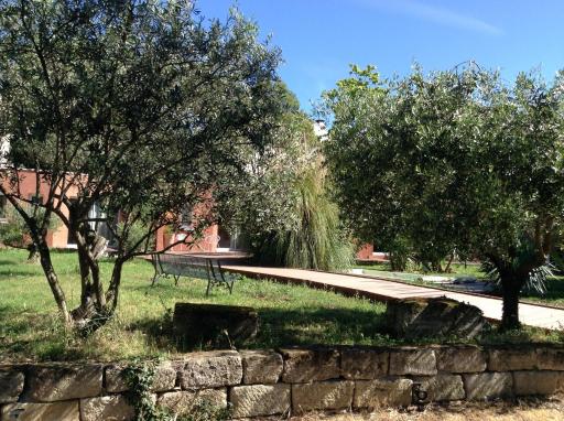 De la suite dans les oliviers - Housity