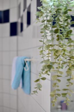 Privatzimmer Haider - Housity