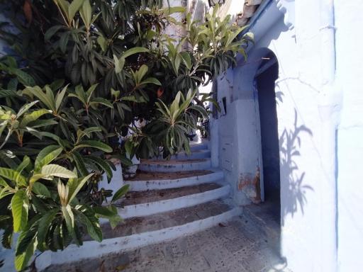 Relax Blue House - Housity