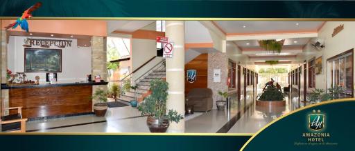 Amazonia Hotel - Housity
