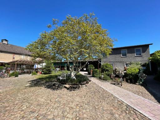 pinocchio pirow - Housity