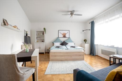 Business Apartment - Arbeitsplatz - Klima - Parkplatz - Sky Abo - Housity