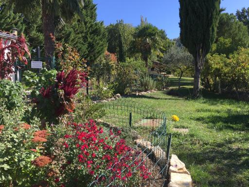 Ti'belle, ma tiny house adorée - Housity