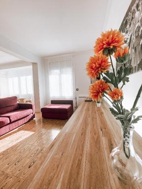 El Segon Pis - Housity