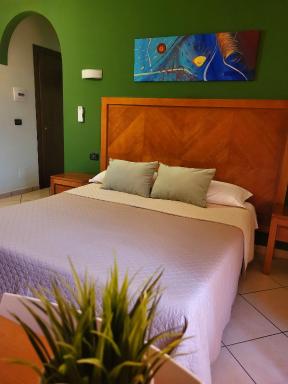 Hotel Federico II - Housity