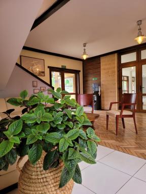 Natura Park w Stegnie - Housity