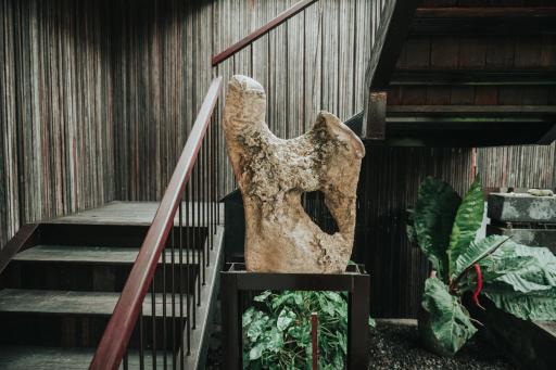 Sare Homestay and Artspace Sanur - Housity