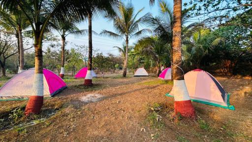 Tent House Mandwa - Housity
