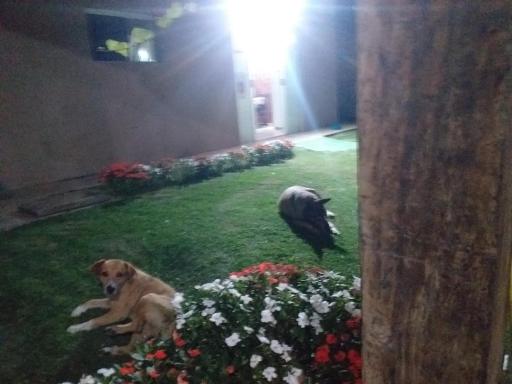 Hospedagem Maria Joana - Housity