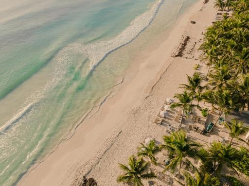 Chiringuito Tulum - Housity
