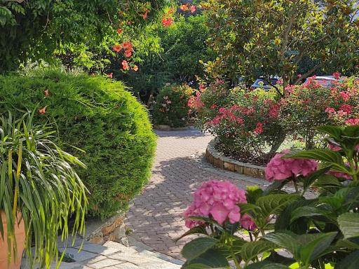 Cà De Rossana Bed&Breakfast - Hizvo