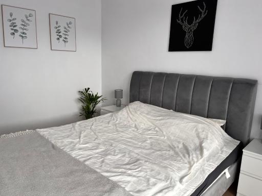 Apartament Sonata - Housity