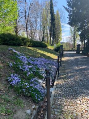 L' Antica Corte Lazzago - Housity