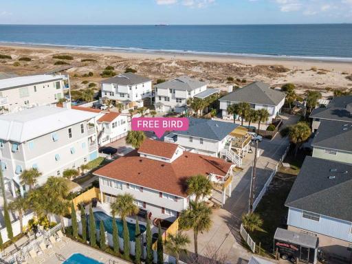 Free Bird - Housity