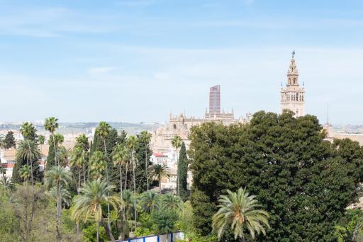 Apartamentos Jardines de Meca - Housity