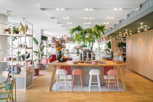 Zoku Paris - Hizvo