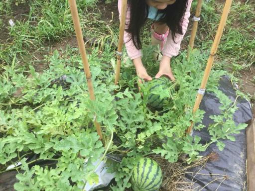 Ichigo Sou Guest House - Vacation STAY 14445 - Housity