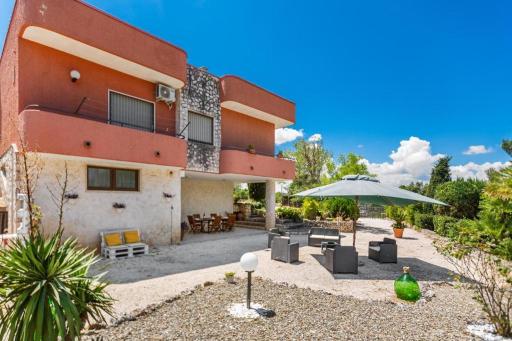 Il tulipano verde - Housity