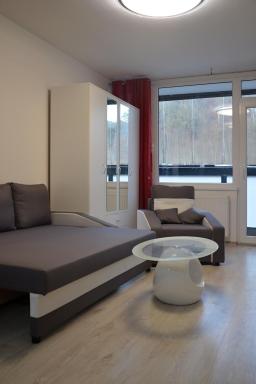 Útulný apartmán v centru, s krásným výhledem, parkování zdarma - Housity