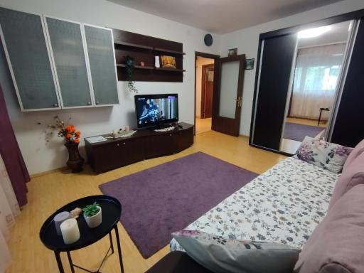 Radu's Guest House - Housity