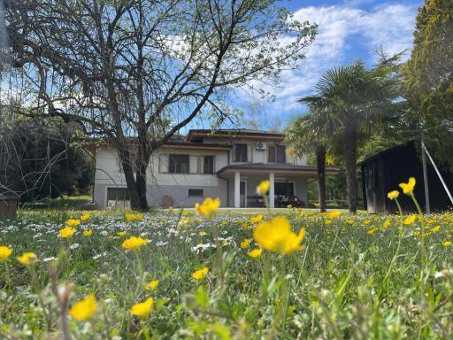 B&B Da Leone - Housity