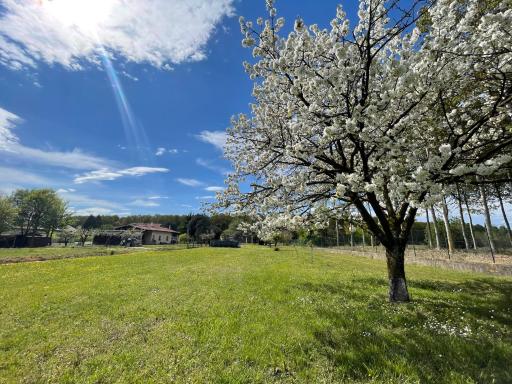 B&B Da Leone - Housity
