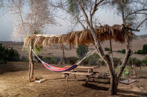 Natural and affordable accommodation - Housity