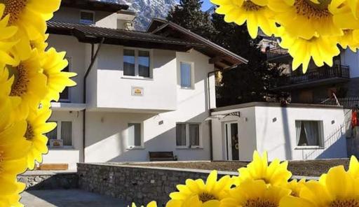 Il Girasole - Housity