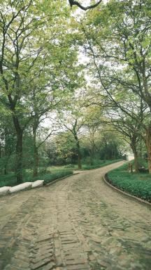 Serenity Mountain Lodge - Housity