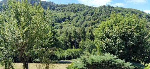 GITE DE CHARME PLEINE NATURE - Housity