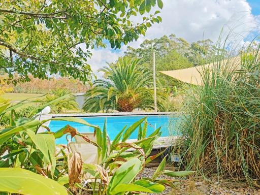 Casita La Palmita - Housity