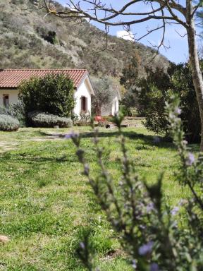 Taverna Centomani - Housity