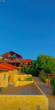 Green House - Housity