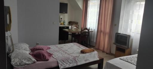 Apartment Ivaylo - Housity
