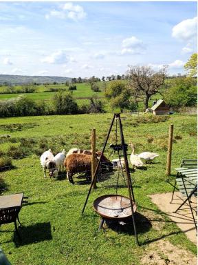 Shepherds Watch - Housity