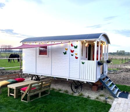 Ontwaken tussen de paarden - Housity