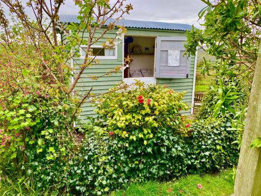 Shepherd's Hut Glamping Accommodation - Housity