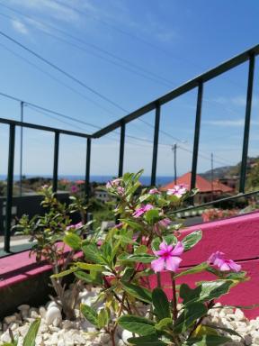 Westerland House - Housity