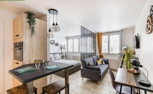 Saint-Étienne confort 2 - Housity