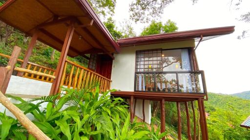 CED Garden - Housity