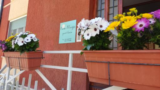 Casa Elvezia Guest House - Housity