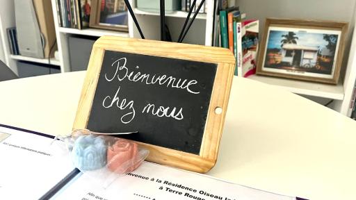 Calm & Cosy, magnifique T1 proche CHU - Housity