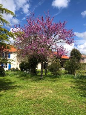 AU DOMAINE DES OISEAUX ses chambres sa gloriette insolite face à l'étang bucolique - Housity