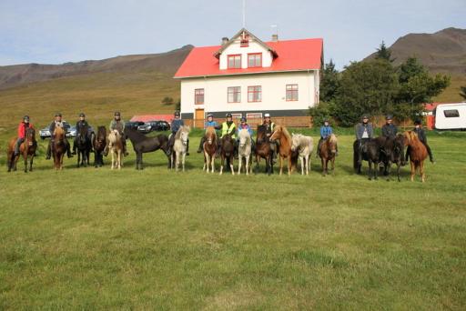 Ferðaþjónustan Geitaskarði - Housity
