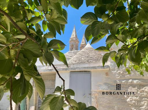 BORGANTHIA - IL CHIOSTRO DEI MEDICI - Housity