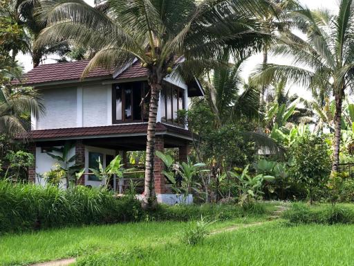 Mu Homestay - Housity
